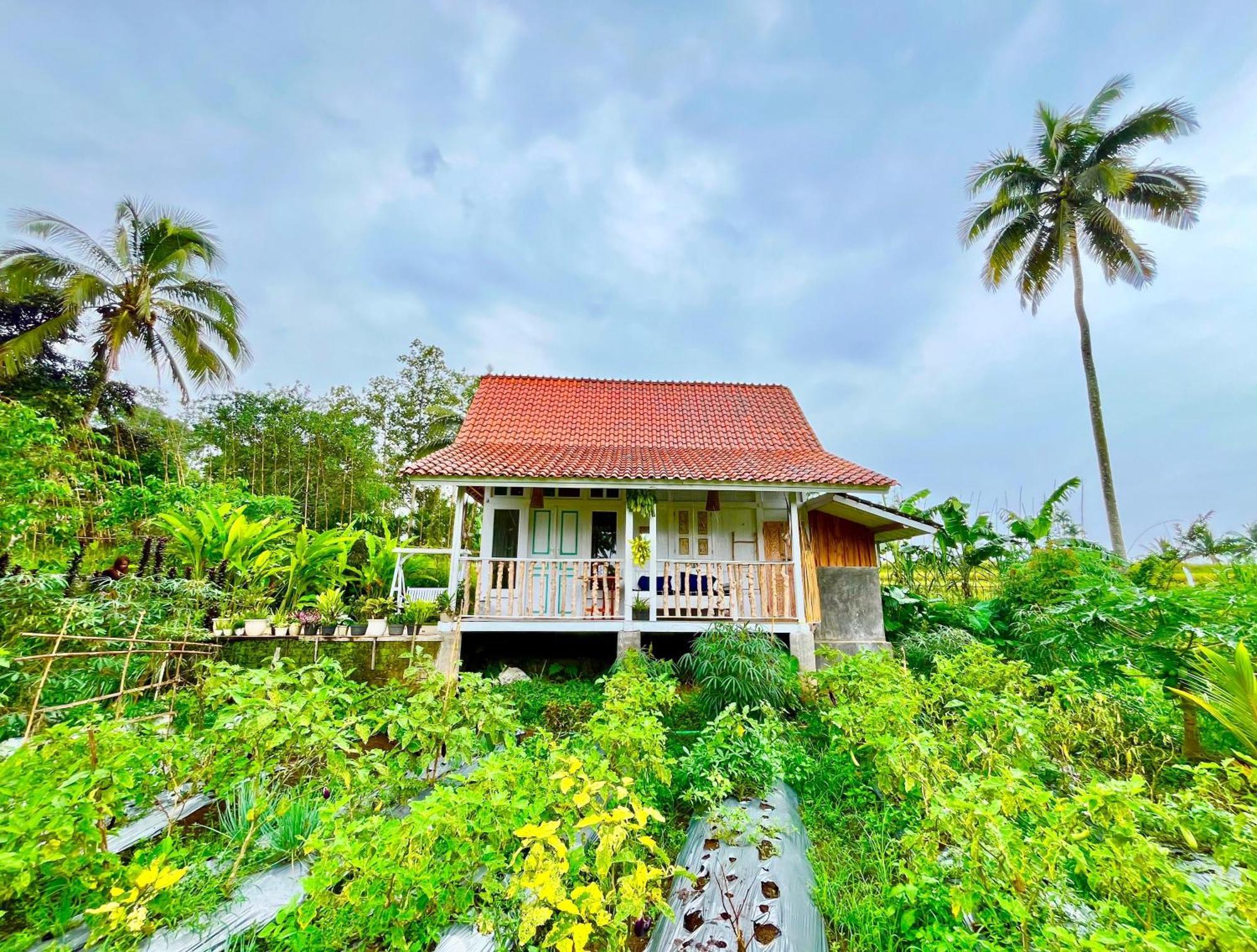 Pondok Is Oke Villa Scenic View Banyuwangi  Exterior photo